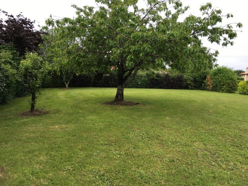 foto 19 Huurhuis van particulieren Fontenay-le-Comte gite Pays de la Loire Vende Tuin