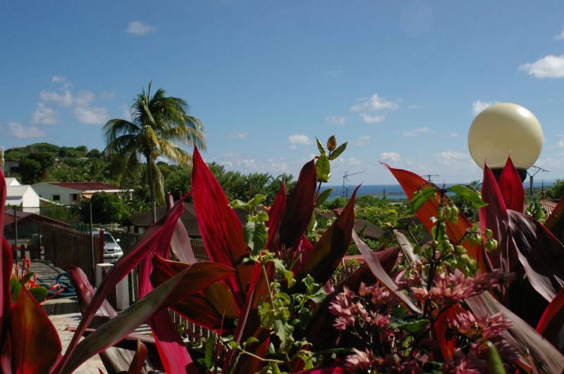 foto 23 Huurhuis van particulieren Sainte Anne (Martinique) villa   Uitzicht vanaf het terras