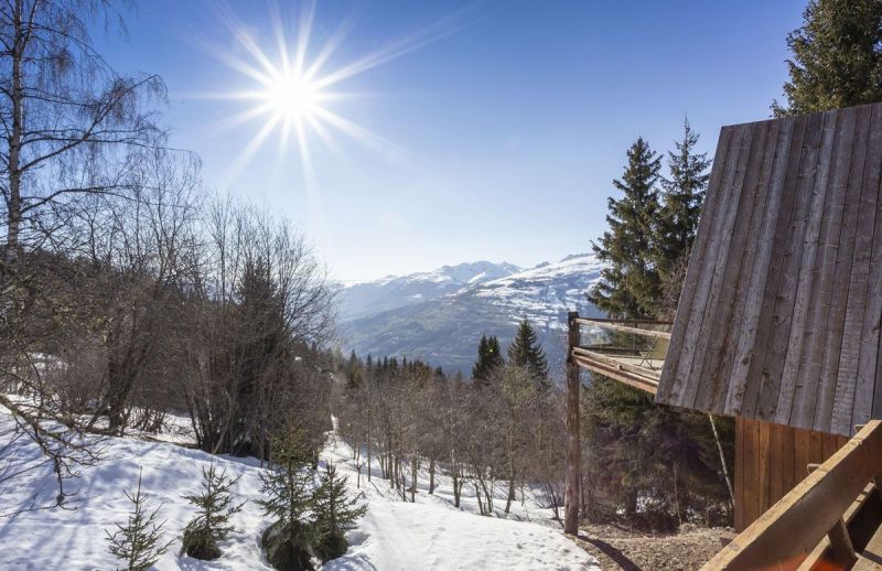 foto 0 Huurhuis van particulieren Les Arcs chalet Rhne-Alpes Savoie