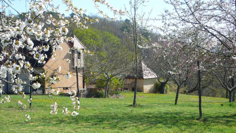 foto 3 Huurhuis van particulieren Montignac sur Vzre (Grottes de Lascaux) gite Aquitaine Dordogne Het aanzicht van de woning