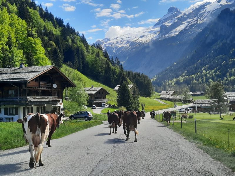 foto 5 Huurhuis van particulieren Le Grand Bornand appartement Rhne-Alpes Haute-Savoie Het aanzicht van de woning