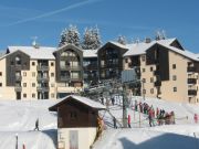 Vakantiewoningen berggebied Haute-Savoie: appartement nr. 101312