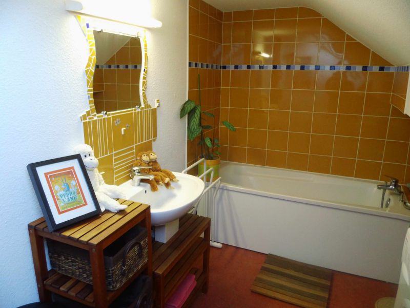 foto 15 Huurhuis van particulieren Grardmer appartement Lorraine Vogezen badkamer