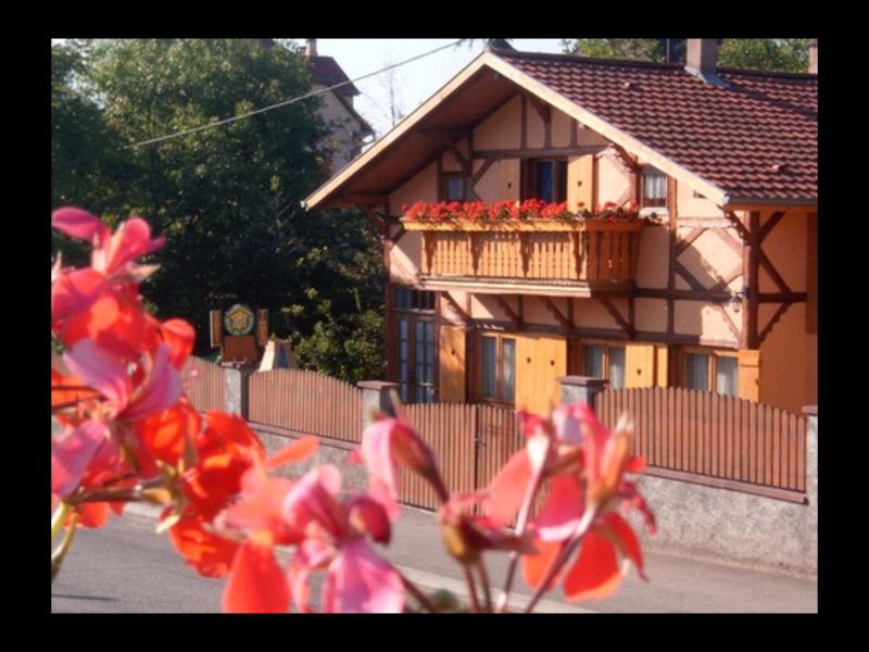 foto 0 Huurhuis van particulieren Ribeauvill gite Elzas Haut-Rhin Het aanzicht van de woning