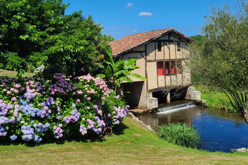 foto 0 Huurhuis van particulieren Soustons gite Aquitaine Landes