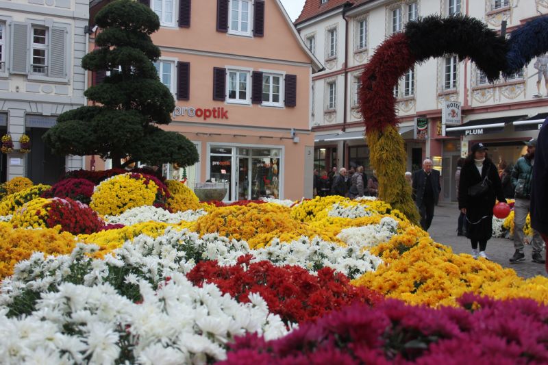 foto 15 Huurhuis van particulieren Slestat maison Elzas Bas-Rhin