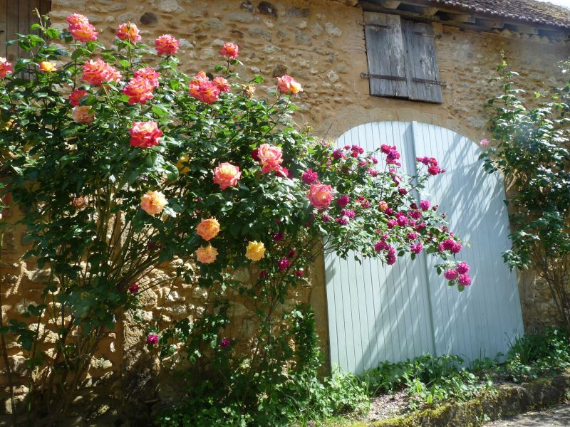 foto 6 Huurhuis van particulieren Arzacq-Arraziguet maison Aquitaine Pyrnes-Atlantiques Binnenplaats