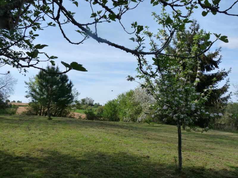 foto 0 Huurhuis van particulieren Arzacq-Arraziguet maison Aquitaine Pyrnes-Atlantiques Tuin