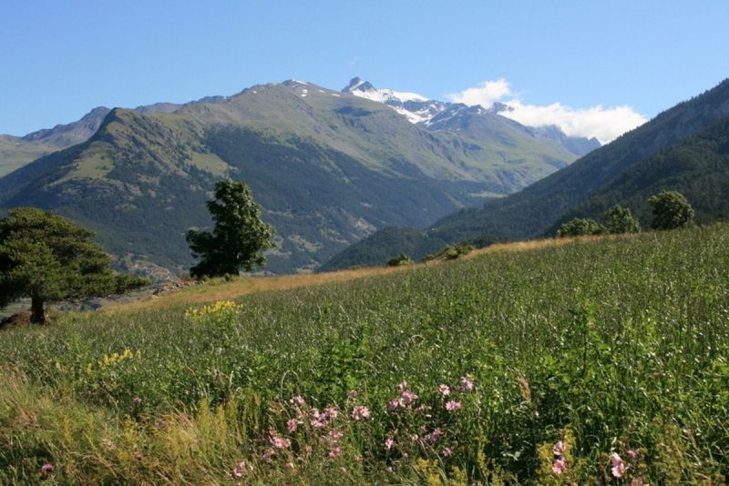 foto 10 Huurhuis van particulieren Val Cenis appartement Rhne-Alpes Savoie Zicht op de omgeving