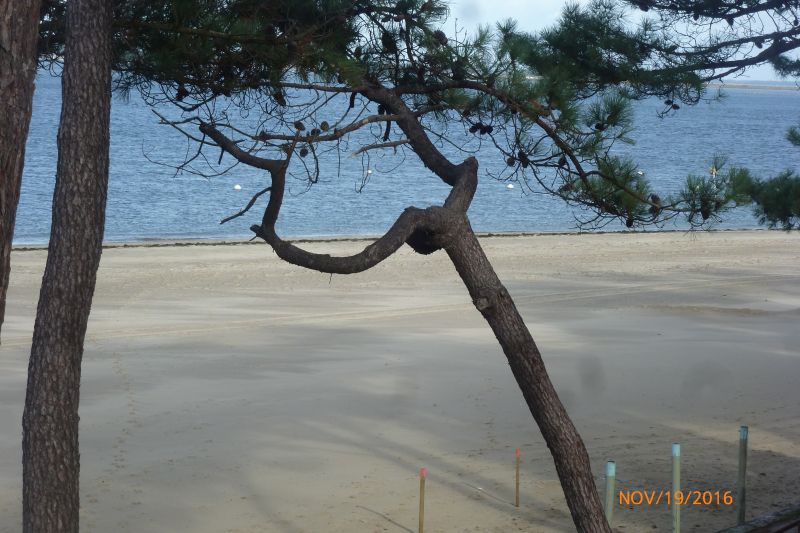 foto 16 Huurhuis van particulieren Arcachon studio Aquitaine Gironde Strand