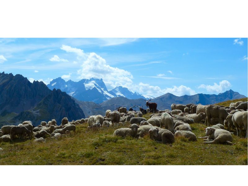 foto 24 Huurhuis van particulieren Valmeinier chalet Rhne-Alpes Savoie