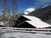 Vakantiewoningen Franse Alpen: chalet nr. 956
