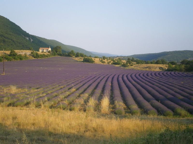 foto 9 Huurhuis van particulieren Forcalquier gite Provence-Alpes-Cte d'Azur Alpes de Haute-Provence