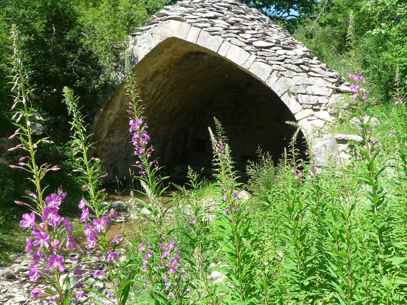 foto 17 Huurhuis van particulieren Forcalquier gite Provence-Alpes-Cte d'Azur Alpes de Haute-Provence