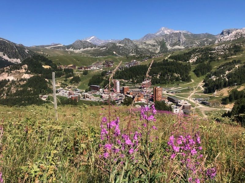 foto 19 Huurhuis van particulieren La Plagne appartement Rhne-Alpes Savoie