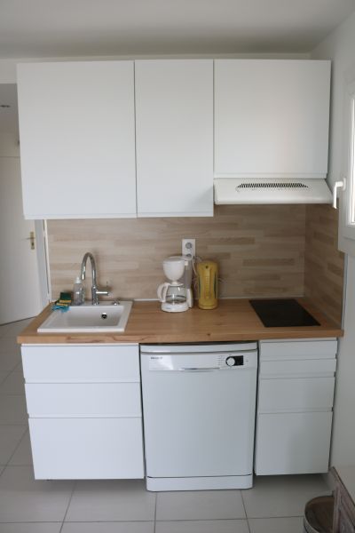 foto 3 Huurhuis van particulieren Palavas-les-Flots appartement Languedoc-Roussillon Hrault Open keuken