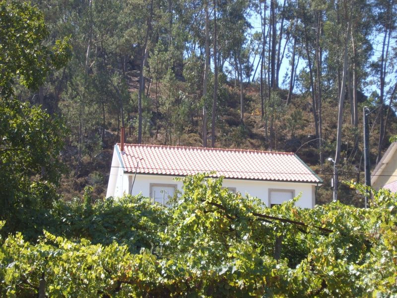 foto 1 Huurhuis van particulieren Celorico de Basto maison Entre Douro e Minho  Het aanzicht van de woning