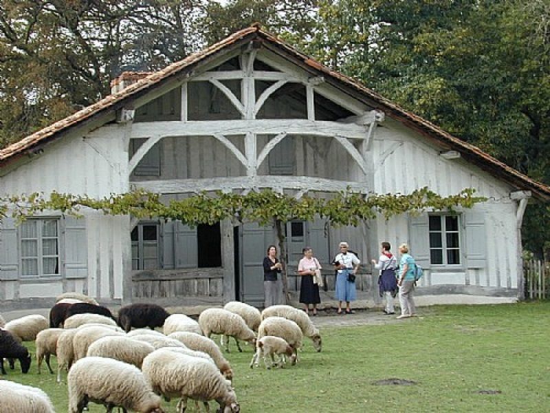 foto 26 Huurhuis van particulieren Saint-Julien-en-Born mobilhome Aquitaine Landes Overig uitzicht