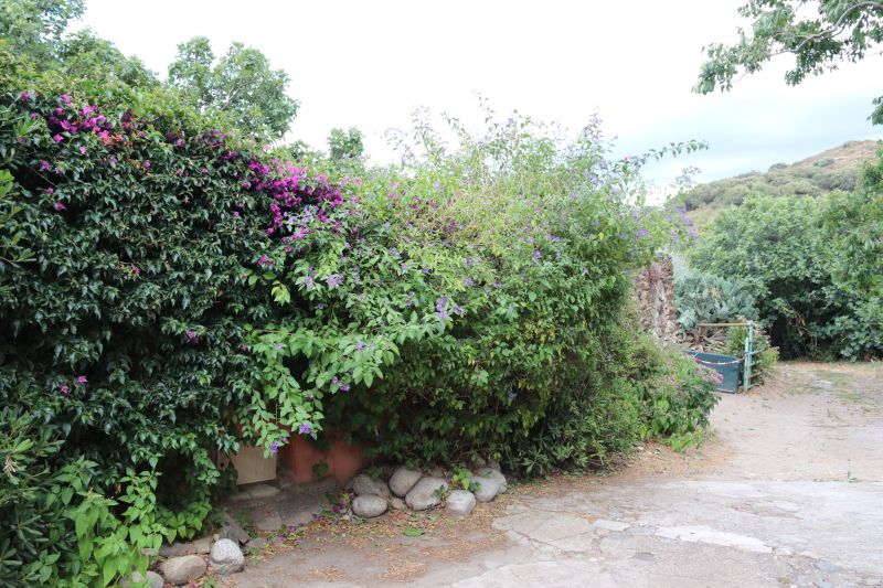 foto 12 Huurhuis van particulieren Collioure bungalow Languedoc-Roussillon Pyrnes-Orientales Het aanzicht van de woning