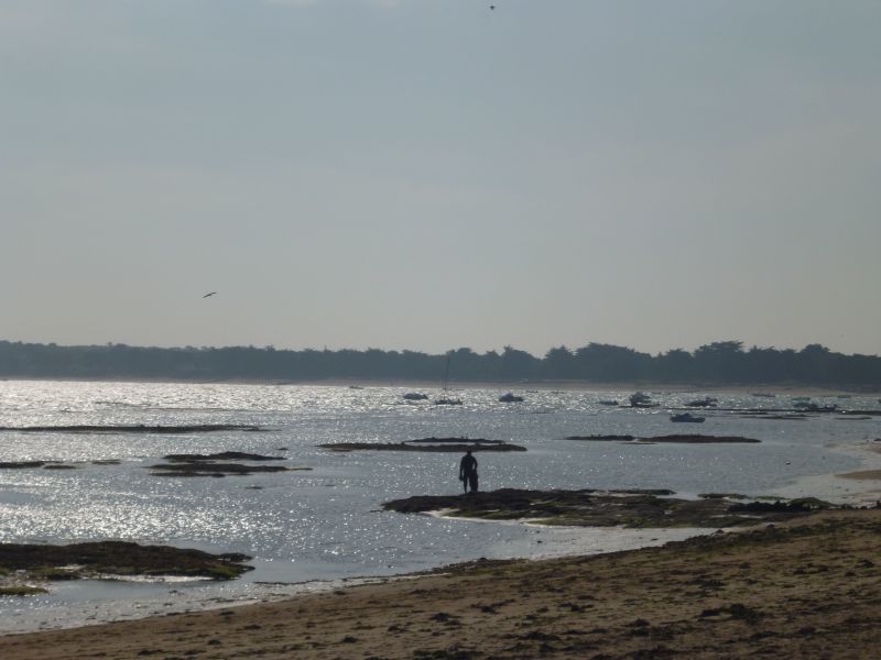 foto 16 Huurhuis van particulieren Noirmoutier en l'le maison Pays de la Loire Vende Strand