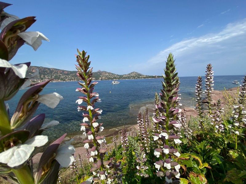 foto 23 Huurhuis van particulieren Frjus mobilhome Provence-Alpes-Cte d'Azur Var Strand
