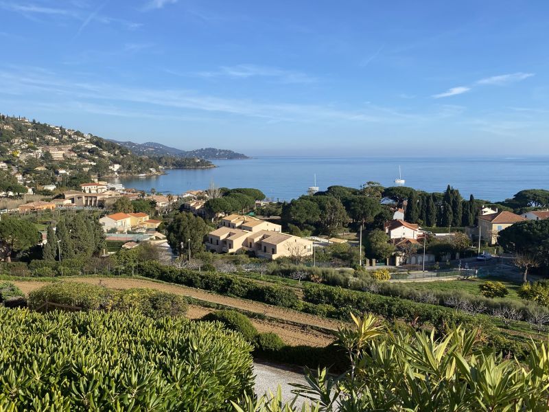 foto 1 Huurhuis van particulieren Le Lavandou appartement Provence-Alpes-Cte d'Azur Var Overig uitzicht