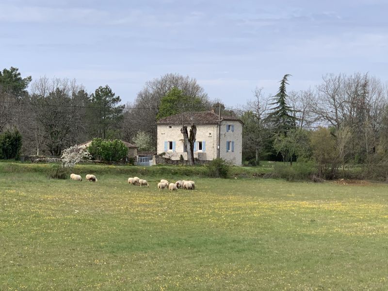 foto 1 Huurhuis van particulieren Cahors maison Midi-Pyrnes Lot