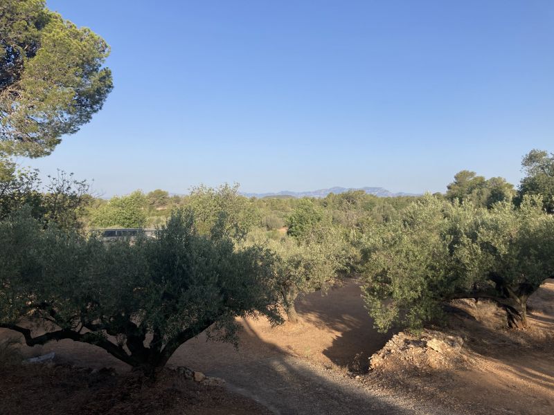 foto 10 Huurhuis van particulieren L'Ampolla maison Cataloni Tarragona (provincia de) Uitzicht vanaf de woning