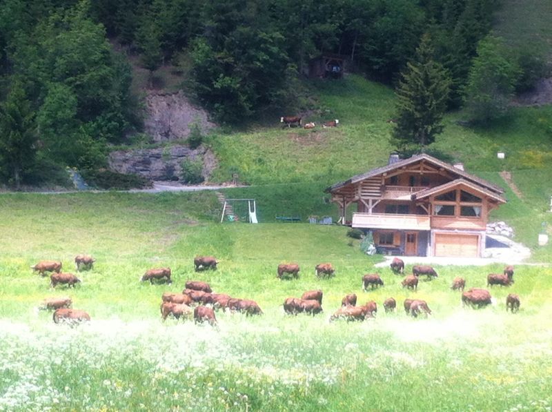 foto 13 Huurhuis van particulieren Le Grand Bornand chalet Rhne-Alpes Haute-Savoie Uitzicht vanaf de woning