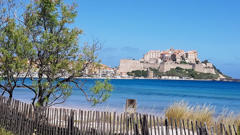 foto 13 Huurhuis van particulieren Calvi appartement Corsica Haute-Corse Zicht op de omgeving