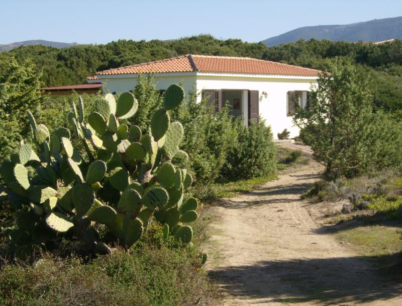 foto 0 Huurhuis van particulieren Badesi maison Sardini Olbia Tempio (provincie) Het aanzicht van de woning