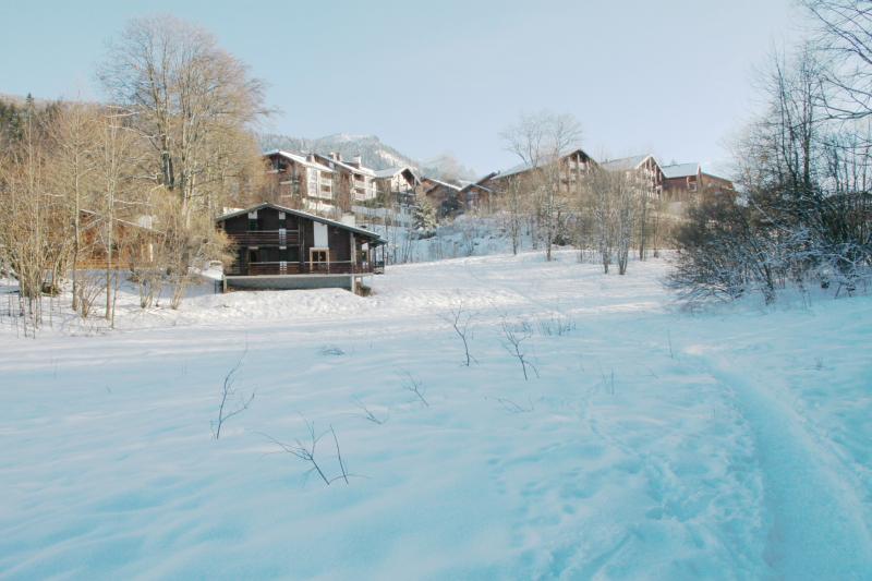 foto 10 Huurhuis van particulieren Les Carroz d'Araches chalet Rhne-Alpes Haute-Savoie Zicht op de omgeving