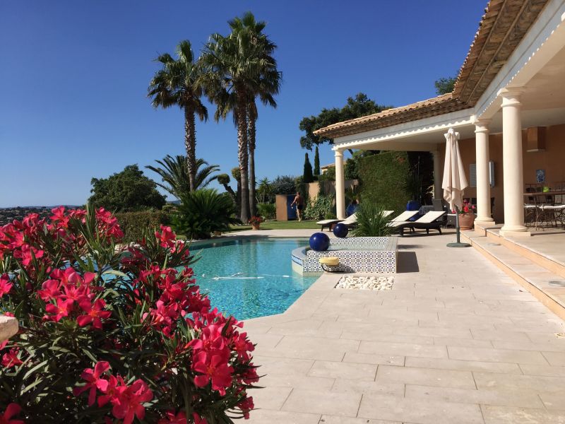 foto 11 Huurhuis van particulieren Sainte Maxime villa Provence-Alpes-Cte d'Azur Var Zwembad