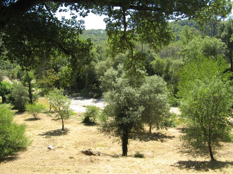 foto 17 Huurhuis van particulieren Lorgues gite Provence-Alpes-Cte d'Azur Var Het aanzicht van de woning