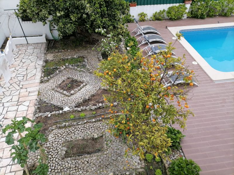 foto 23 Huurhuis van particulieren Sesimbra villa Groot Lissabon en Setbal Setbal Tuin