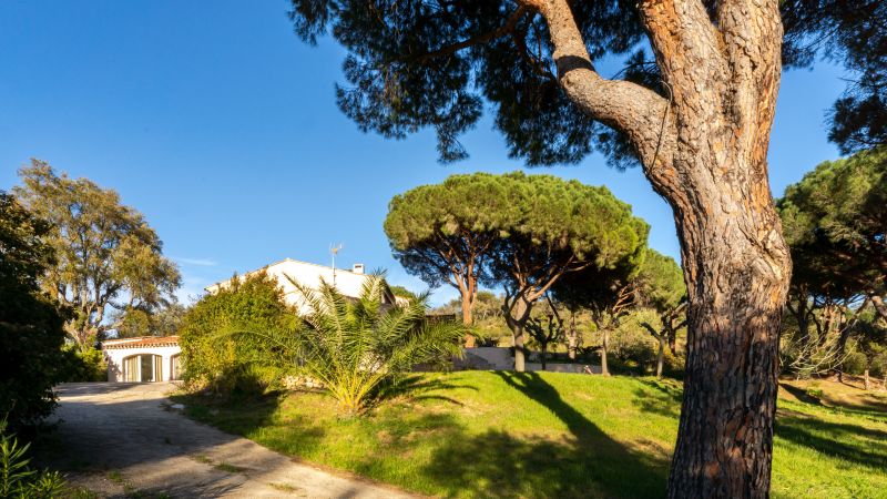 foto 1 Huurhuis van particulieren Sainte Maxime villa Provence-Alpes-Cte d'Azur Var