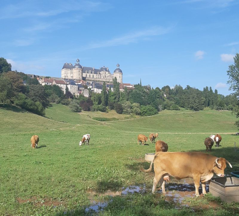 foto 8 Huurhuis van particulieren  gite Limousin Corrze Zicht op de omgeving