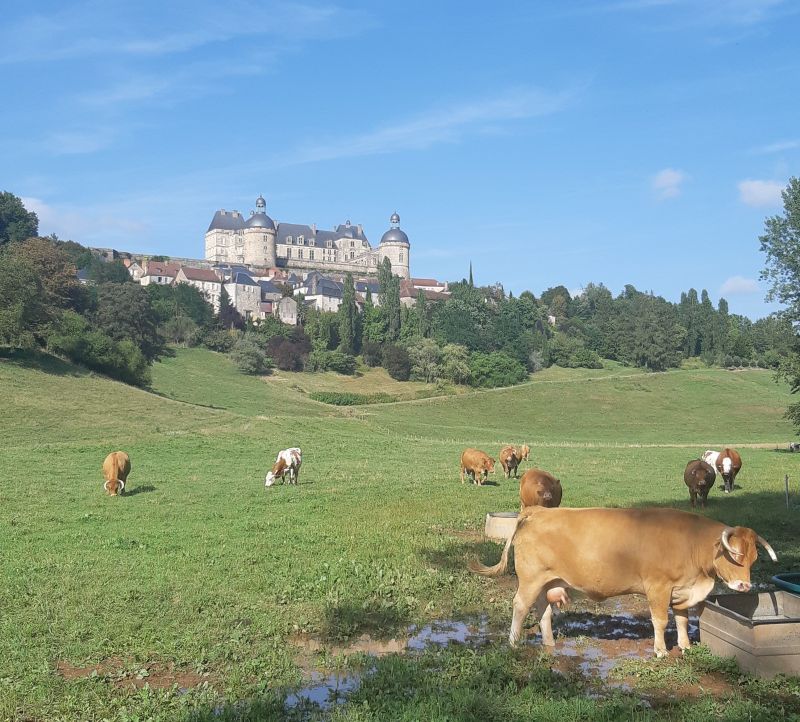 foto 8 Huurhuis van particulieren Brive-la-Gaillarde gite Limousin Corrze Zicht op de omgeving