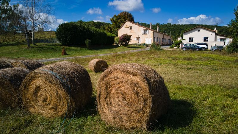 foto 9 Huurhuis van particulieren Bergerac gite Aquitaine Dordogne