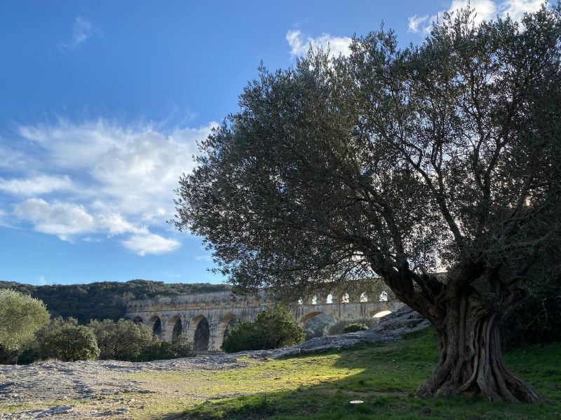 foto 15 Huurhuis van particulieren Uzs villa Languedoc-Roussillon Gard