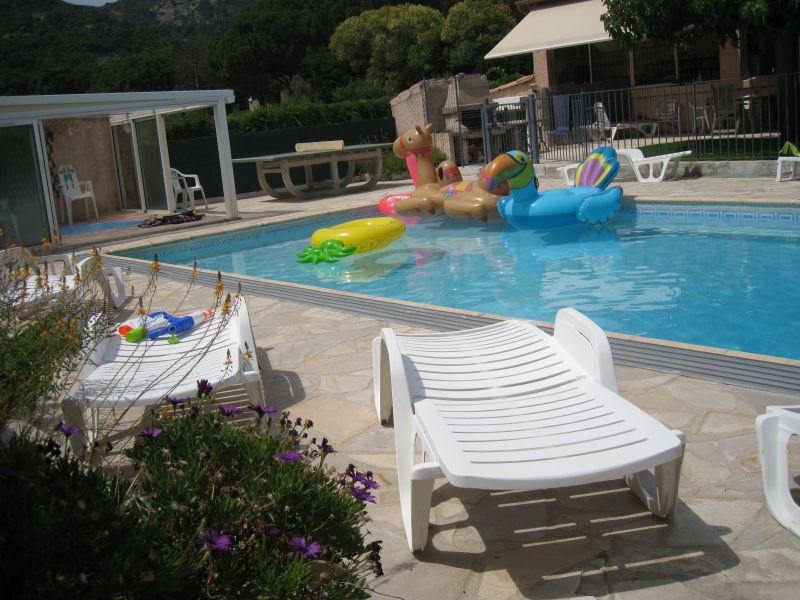 foto 25 Huurhuis van particulieren Sainte Maxime villa Provence-Alpes-Cte d'Azur Var Zwembad