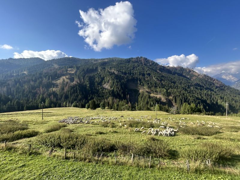 foto 4 Huurhuis van particulieren Selva di Cadore appartement Veneti Belluno (provincie)