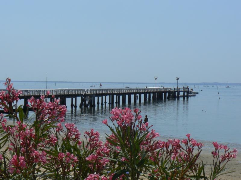 foto 18 Huurhuis van particulieren Andernos les Bains gite Aquitaine Gironde Overig uitzicht