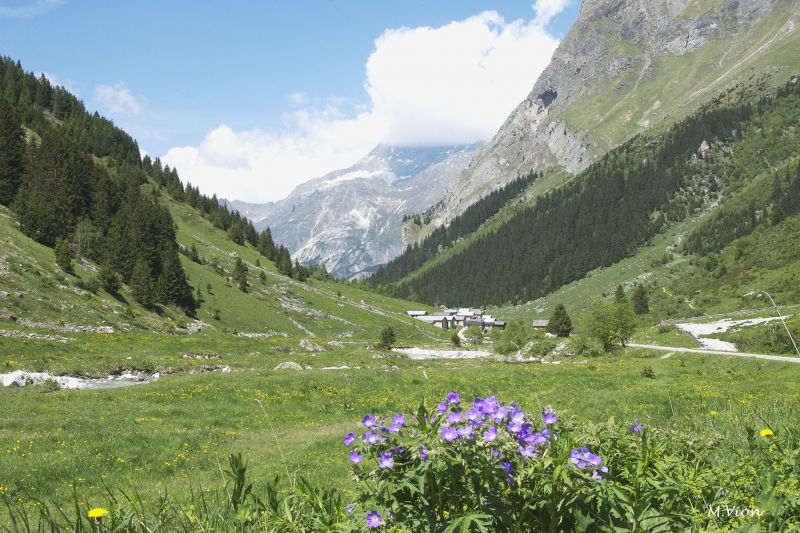 foto 19 Huurhuis van particulieren Pralognan la Vanoise appartement Rhne-Alpes Savoie Zicht op de omgeving