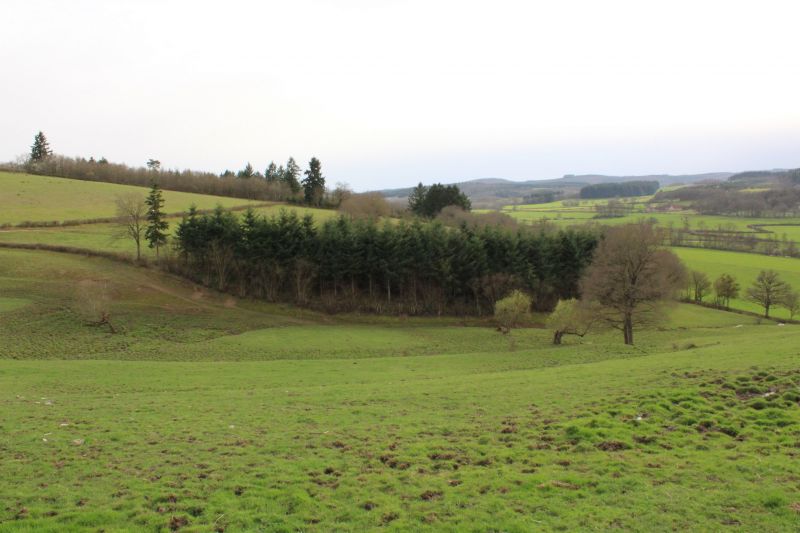 foto 18 Huurhuis van particulieren Autun gite Bourgondi Sane et Loire Zicht op de omgeving