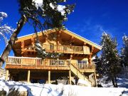 Vakantiewoningen Font Romeu: chalet nr. 116230