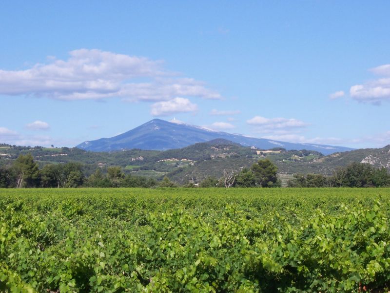 foto 4 Huurhuis van particulieren Loriol-du-Comtat gite Provence-Alpes-Cte d'Azur Vaucluse Overig uitzicht