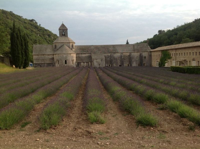 foto 15 Huurhuis van particulieren Loriol-du-Comtat gite Provence-Alpes-Cte d'Azur Vaucluse Overig uitzicht