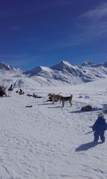 foto 19 Huurhuis van particulieren La Plagne studio Rhne-Alpes Savoie