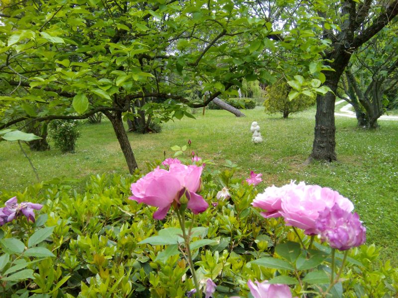 foto 21 Huurhuis van particulieren Als villa Languedoc-Roussillon Gard Tuin